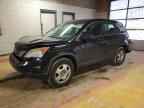 2010 HONDA CR-V