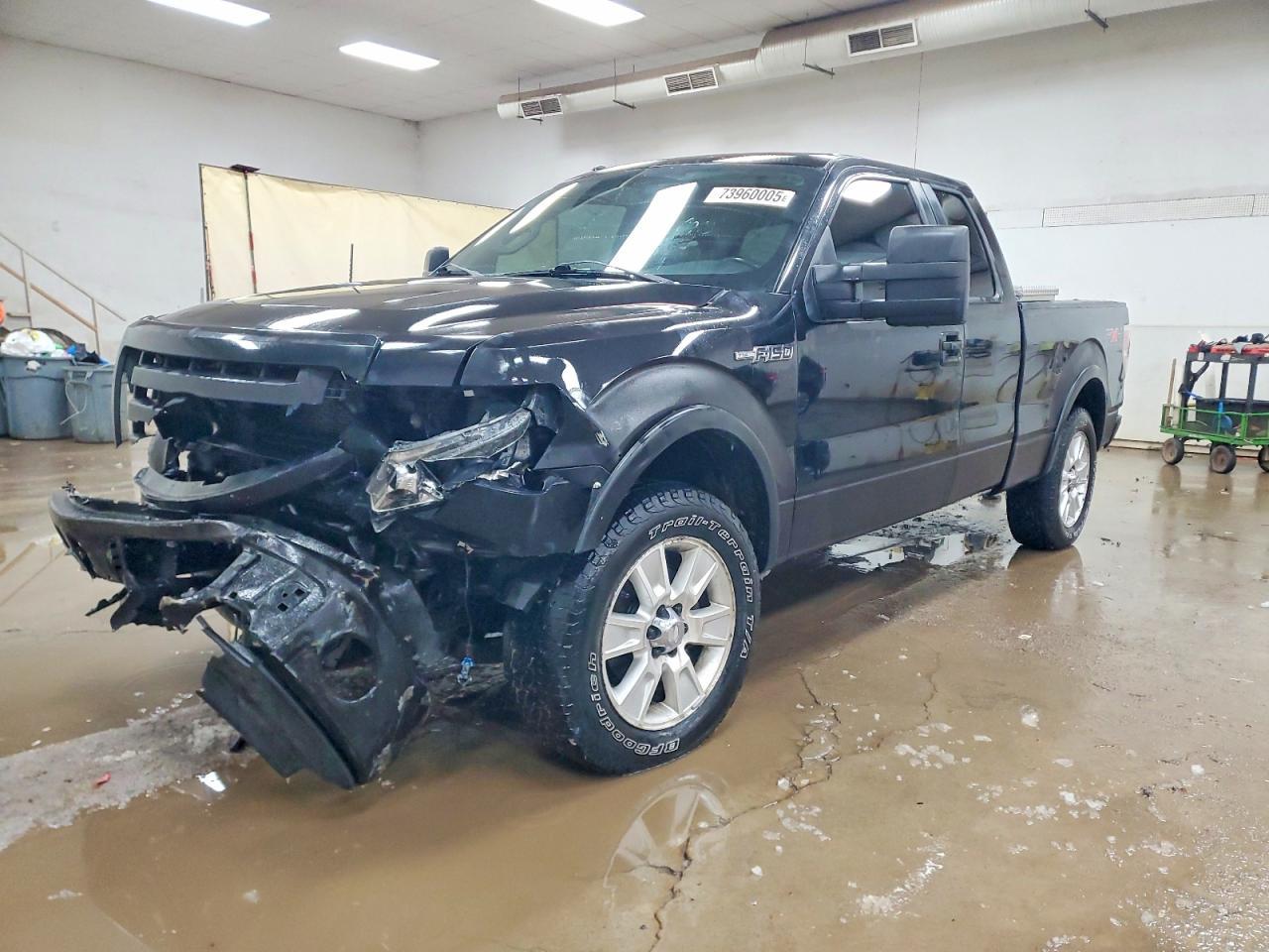 2010 FORD F-150