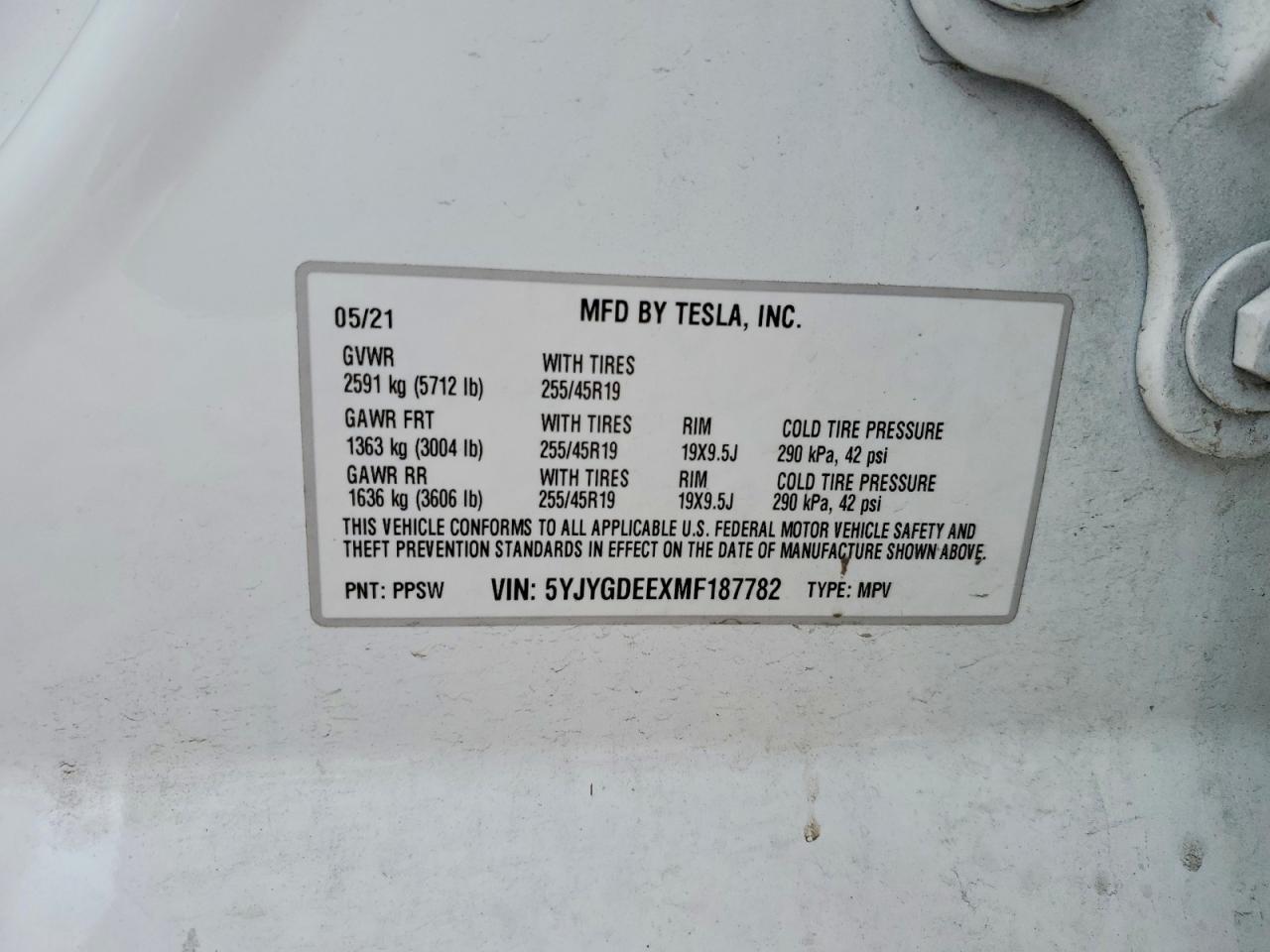 2021 TESLA MODEL Y