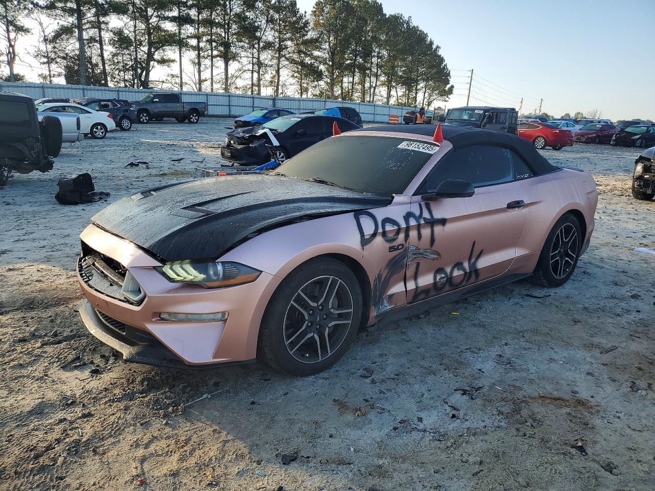 2019 FORD MUSTANG