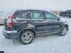 2009 HONDA CR-V