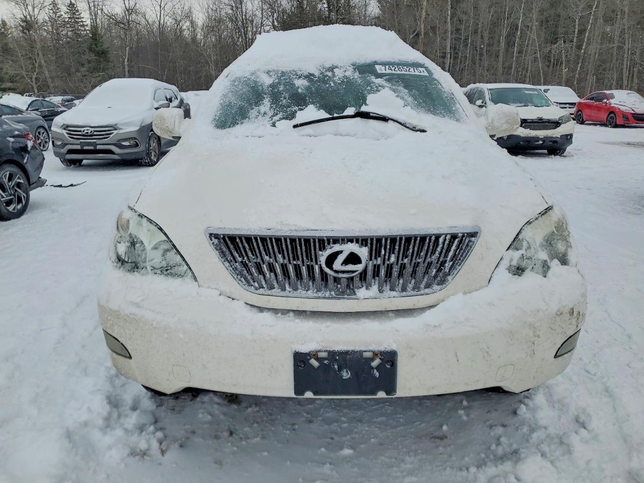 2004 LEXUS Rx 330