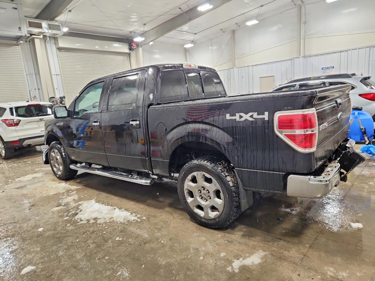 2010 FORD F-150