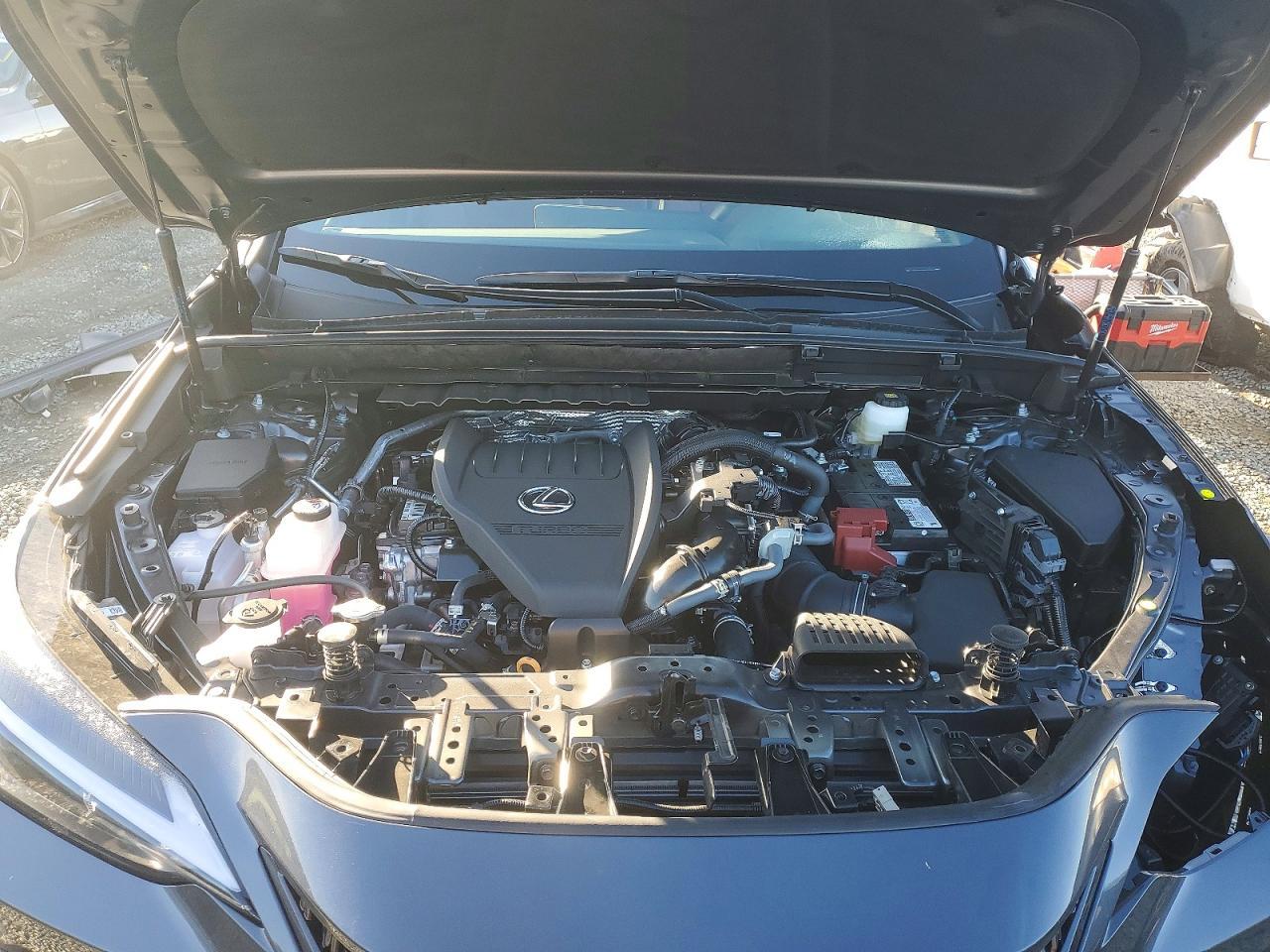 2026 LEXUS NX 350