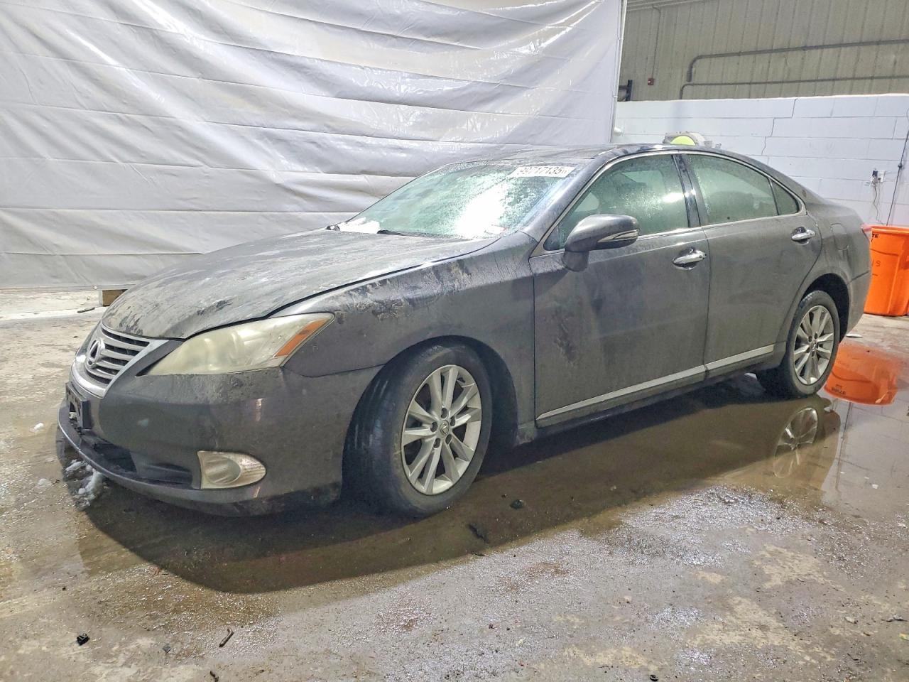 2010 LEXUS ES 350