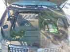 2004 NISSAN Maxima
