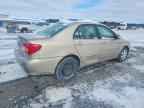 2007 TOYOTA COROLLA