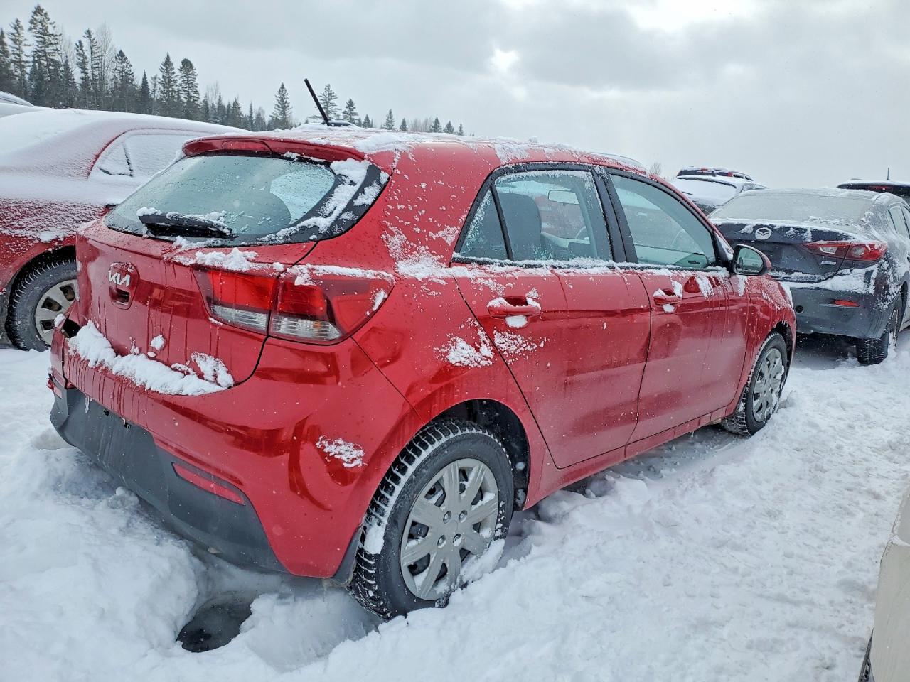 2023 KIA RIO