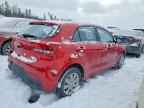 2023 KIA RIO