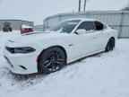 2017 DODGE CHARGER