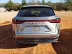 2025 LEXUS NX 250