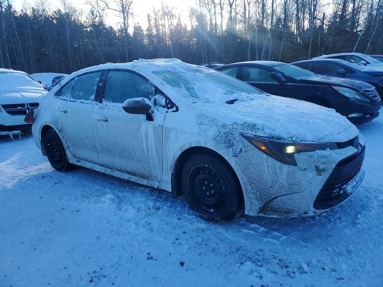 2024 TOYOTA COROLLA