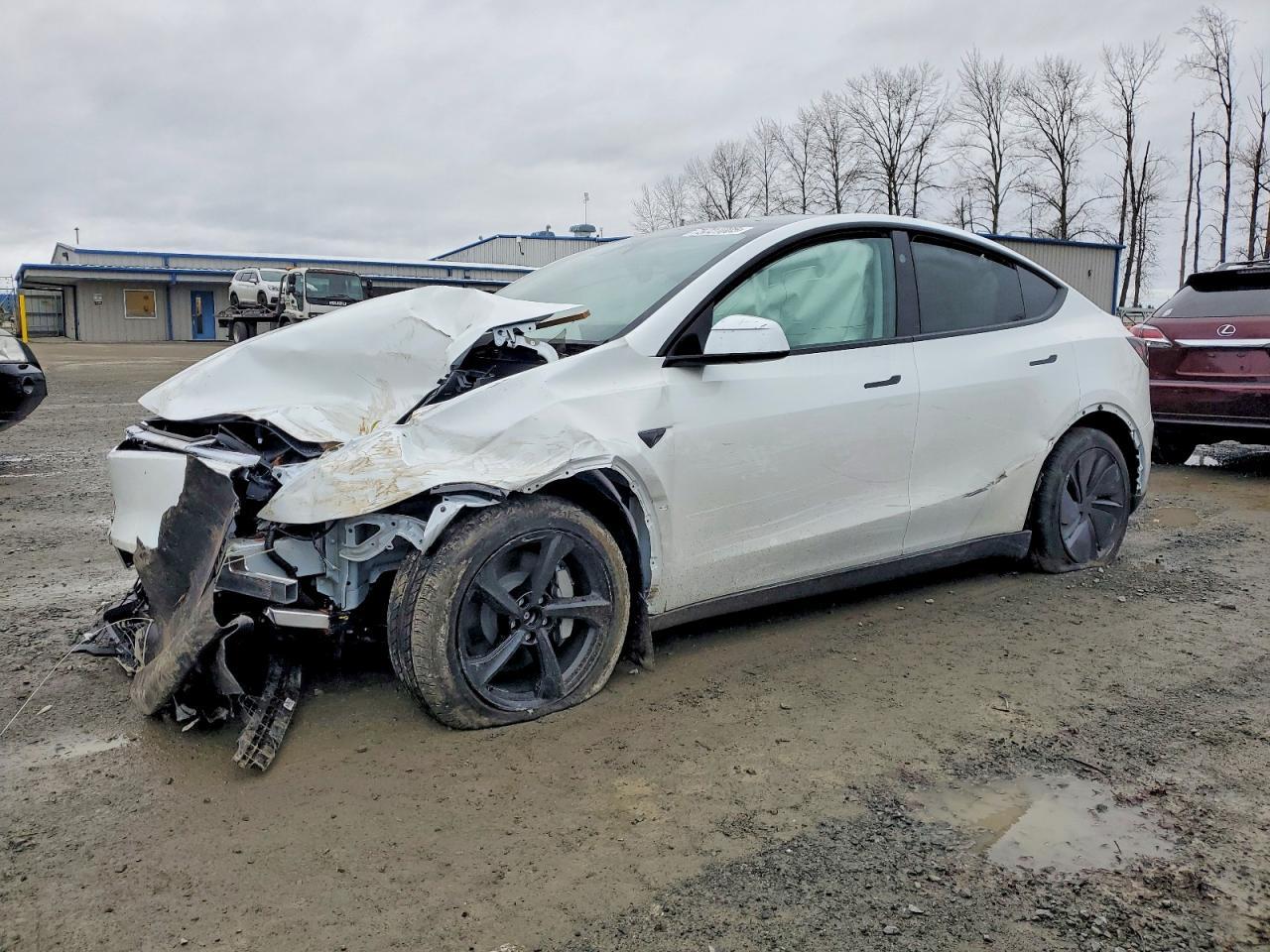 2026 TESLA MODEL Y