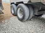 2024 TIMPTE Grain