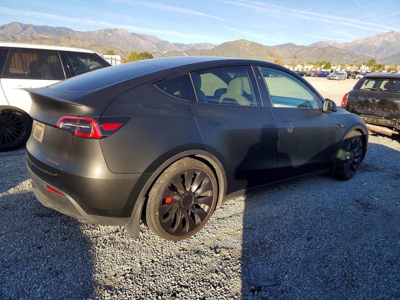 2024 TESLA MODEL Y