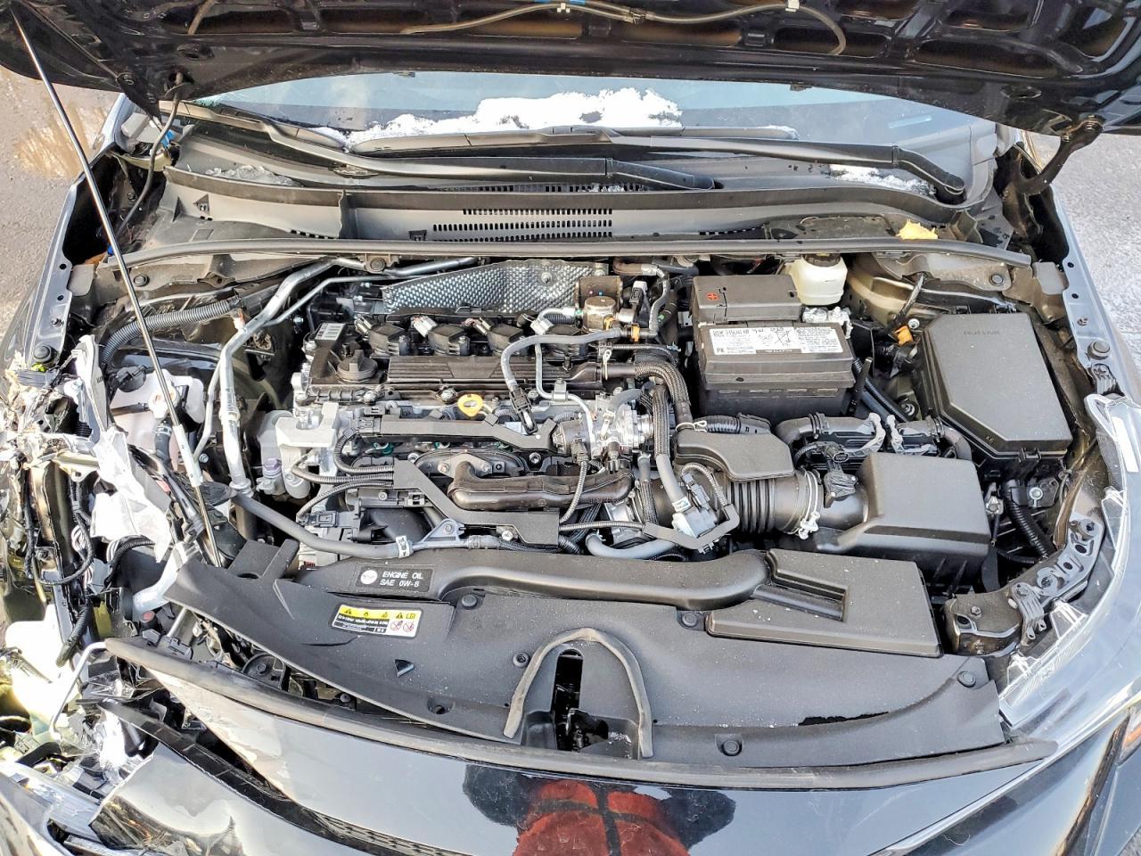 2025 TOYOTA COROLLA