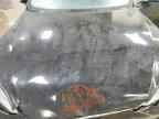 2023 TESLA MODEL S