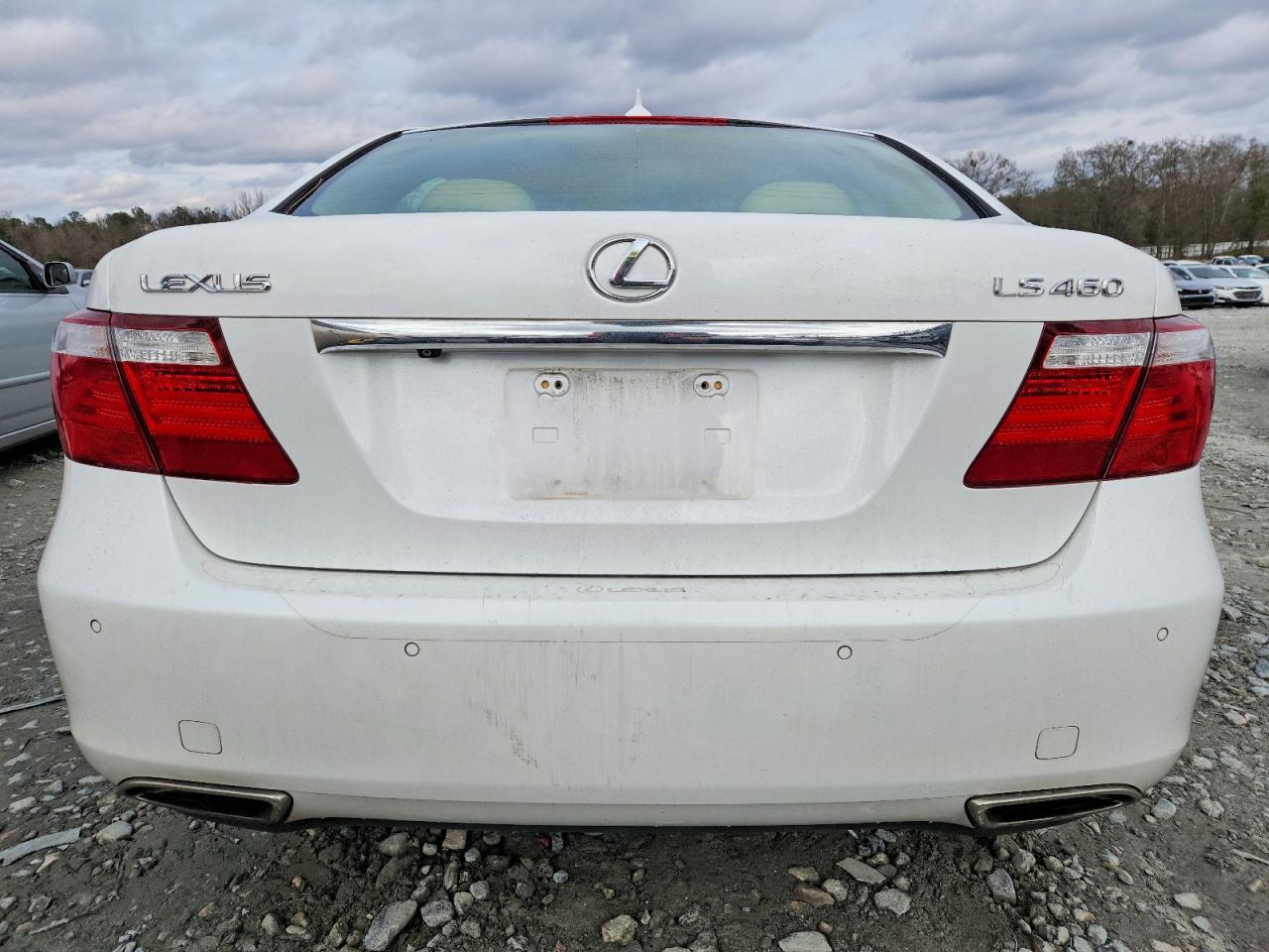 2009 LEXUS LS 460