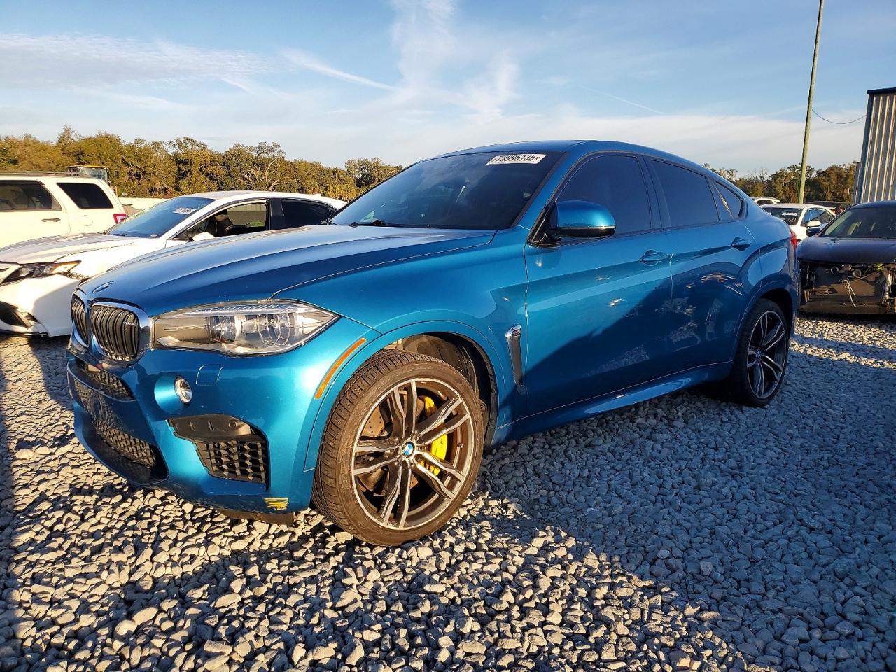 2017 BMW X6