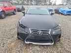 2018 LEXUS IS 300