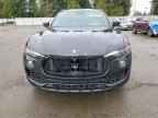 2018 MASERATI Levante