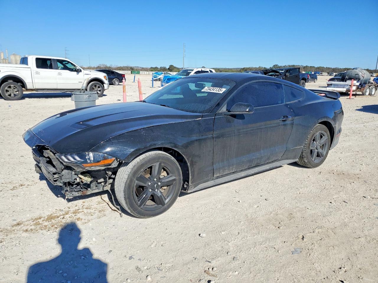 2019 FORD MUSTANG