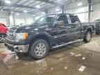 2014 FORD F-150 Lightning