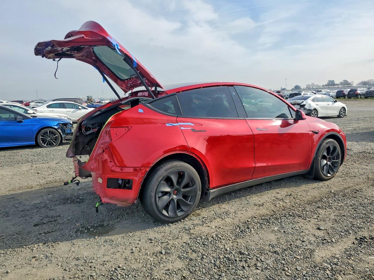 2023 TESLA MODEL Y