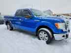 2009 FORD F-150