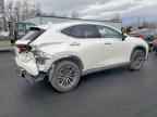 2022 LEXUS NX 350H