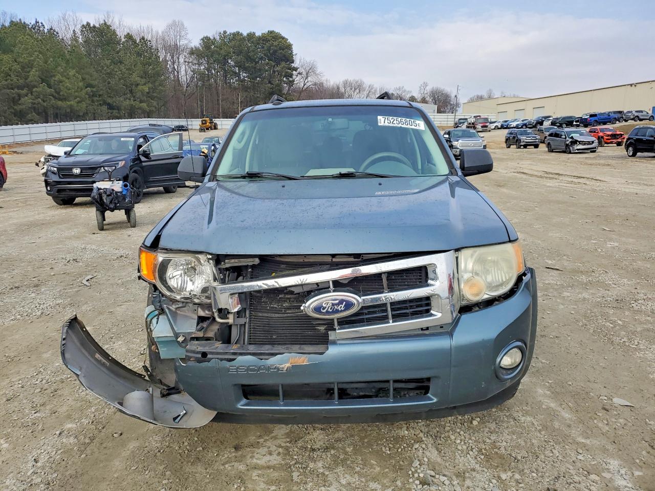 2010 FORD ESCAPE