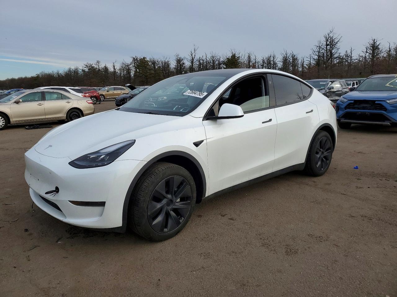 2024 TESLA MODEL Y