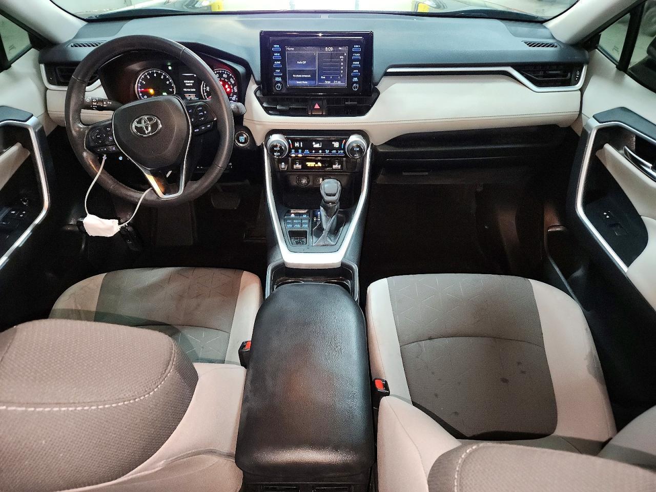 2019 TOYOTA RAV4
