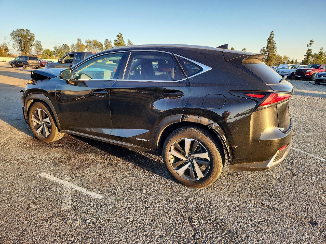 2020 LEXUS NX 300H