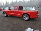 2004 DODGE Dakota