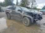 2025 TOYOTA 4Runner