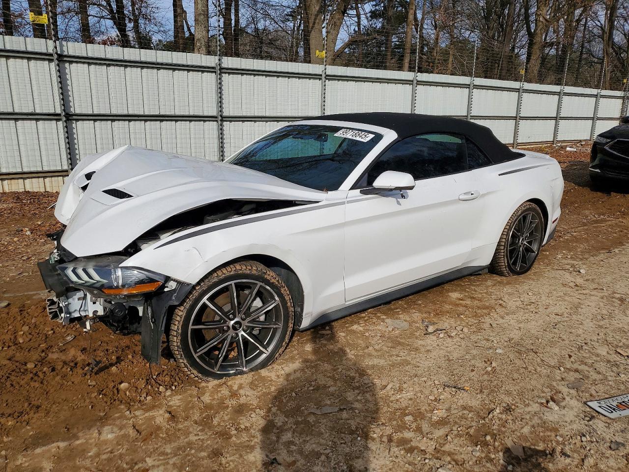 2019 FORD MUSTANG