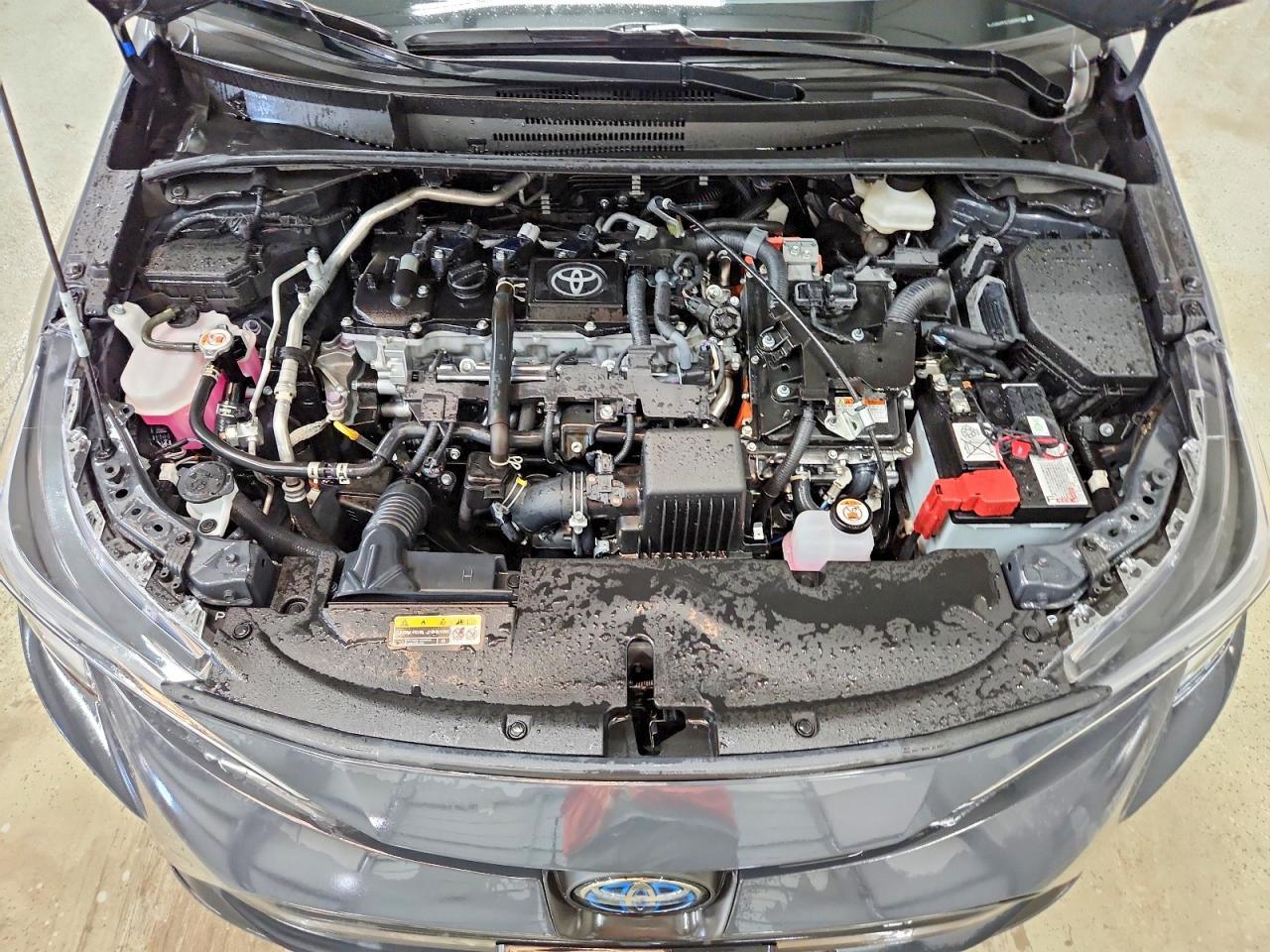 2025 TOYOTA COROLLA