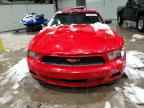2010 FORD MUSTANG