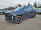 2024 CADILLAC ESCALADE