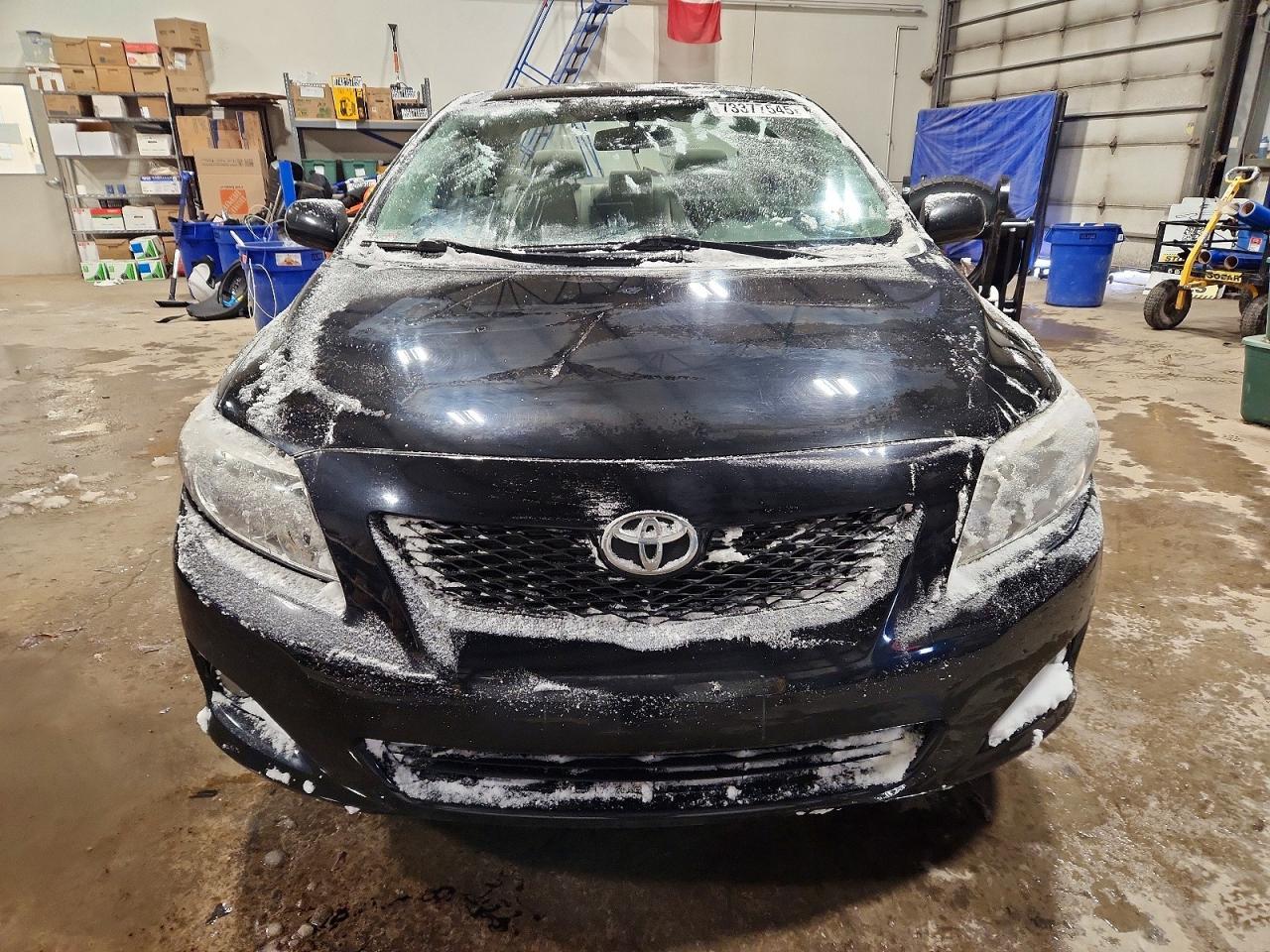 2010 TOYOTA COROLLA