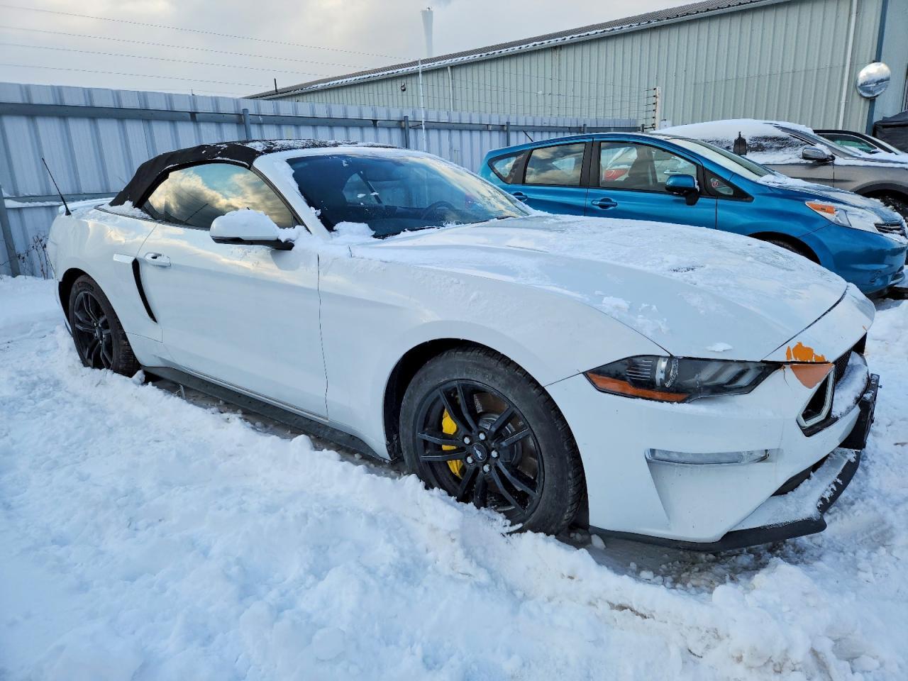 2019 FORD MUSTANG