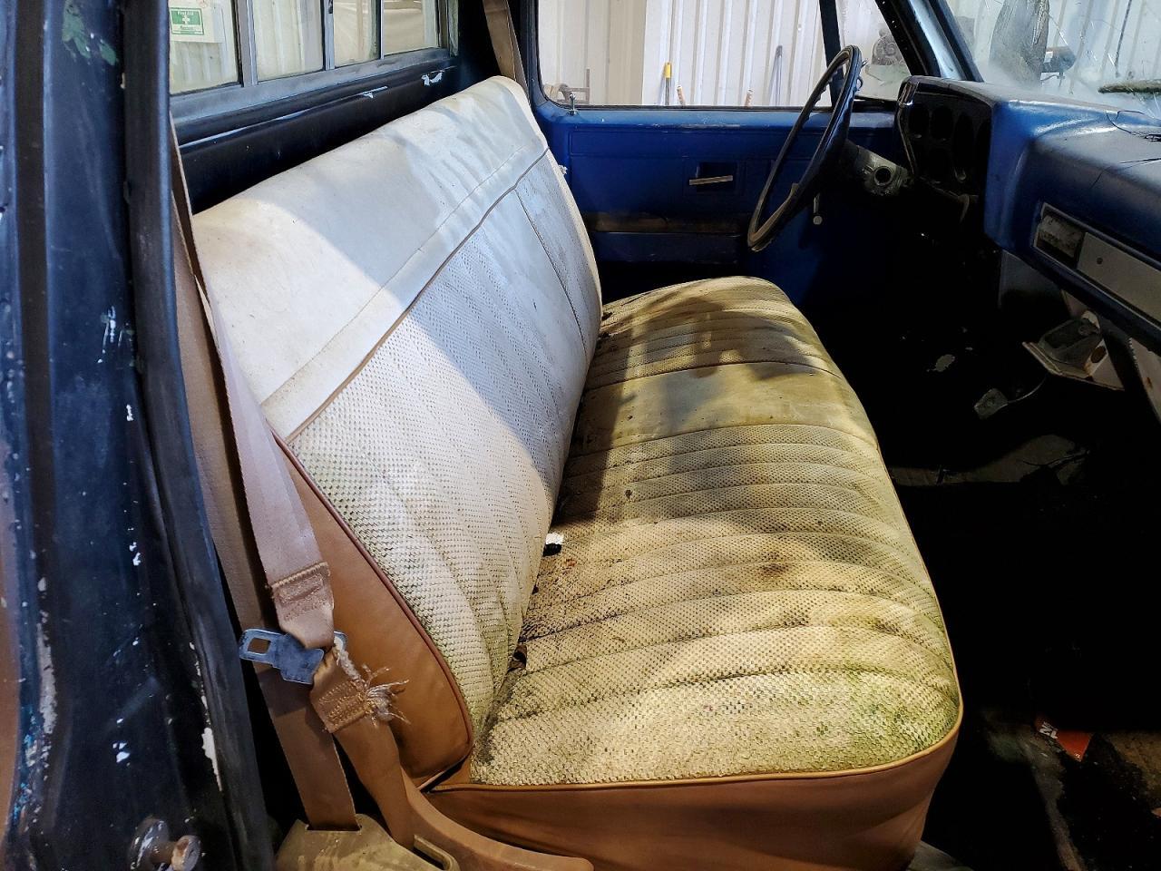 1981 CHEVROLET C10
