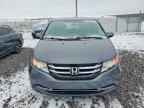 2017 HONDA ODYSSEY