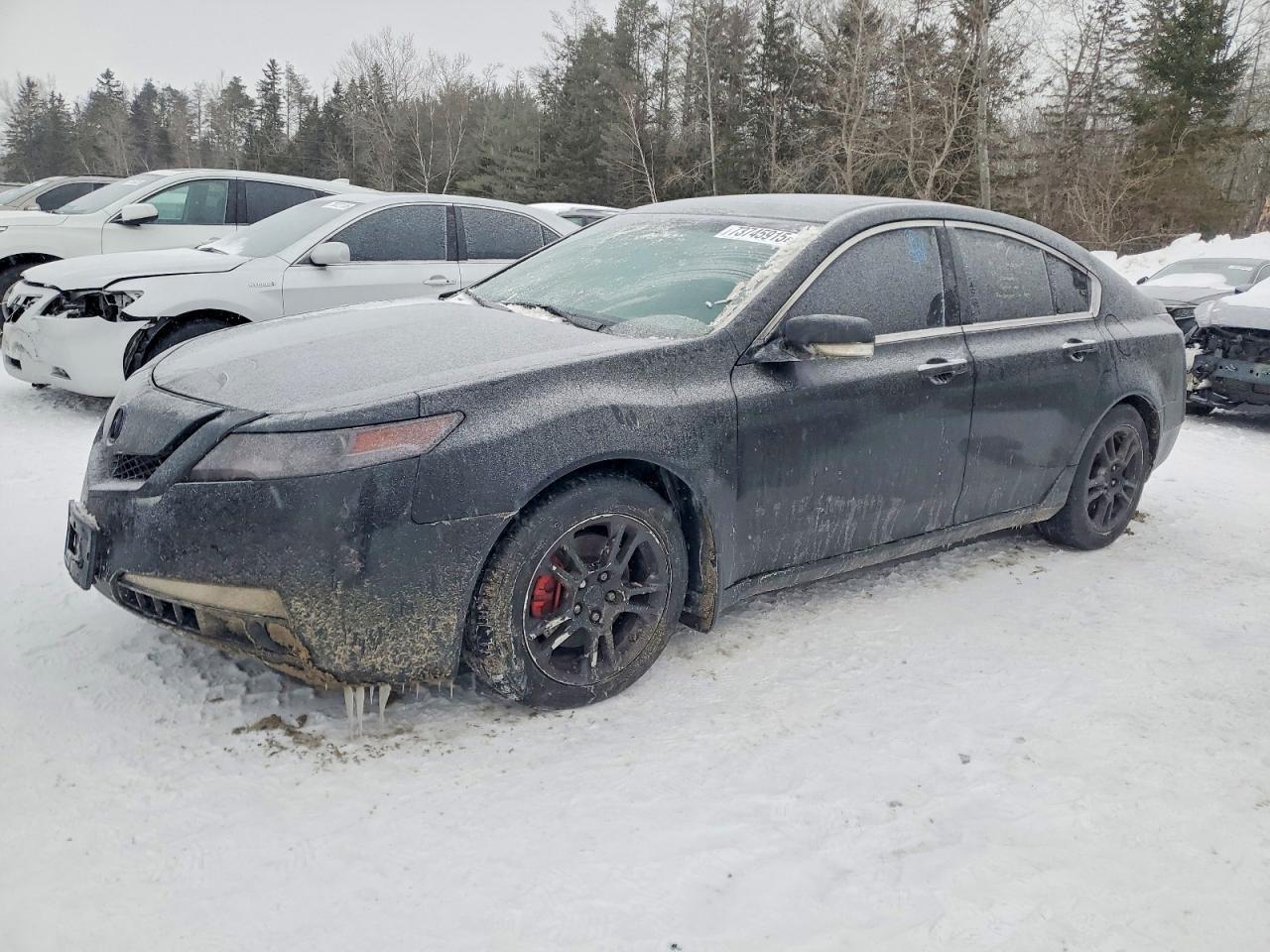 2010 ACURA TL