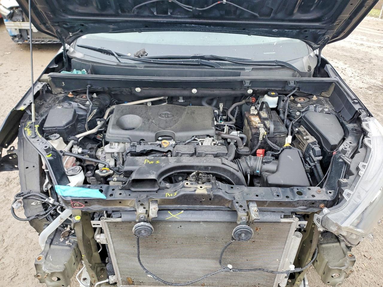 2019 TOYOTA RAV4