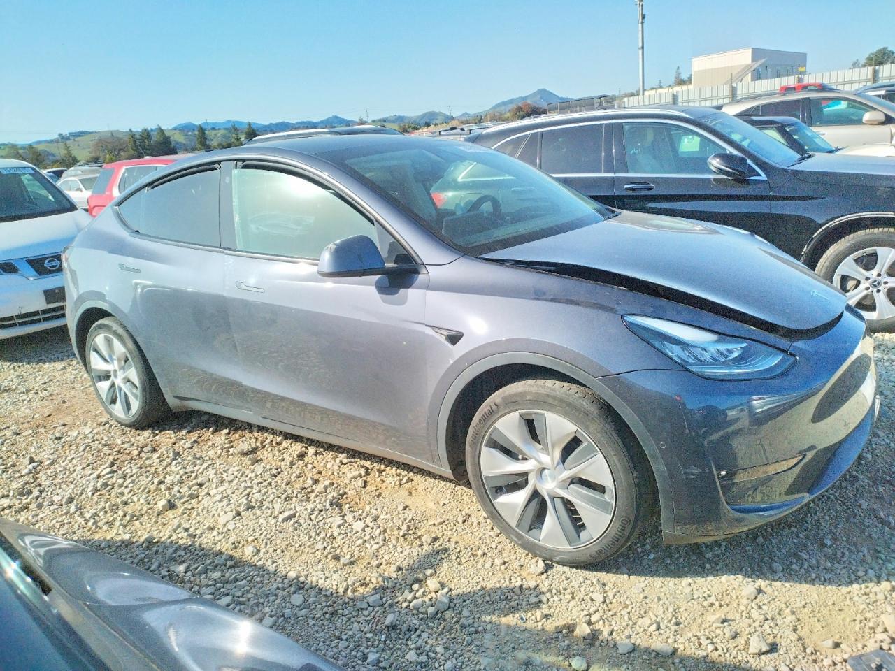 2021 TESLA MODEL Y