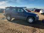 2004 FORD ESCAPE