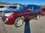 2010 LEXUS GX 460