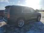 2019 CADILLAC ESCALADE